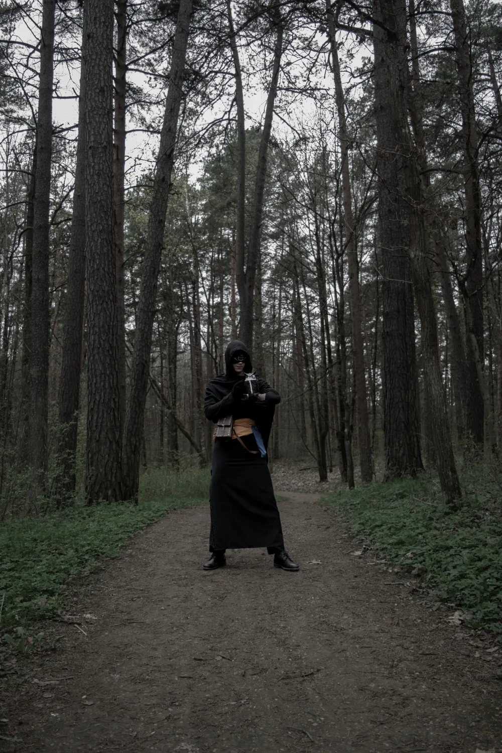 Seer 12