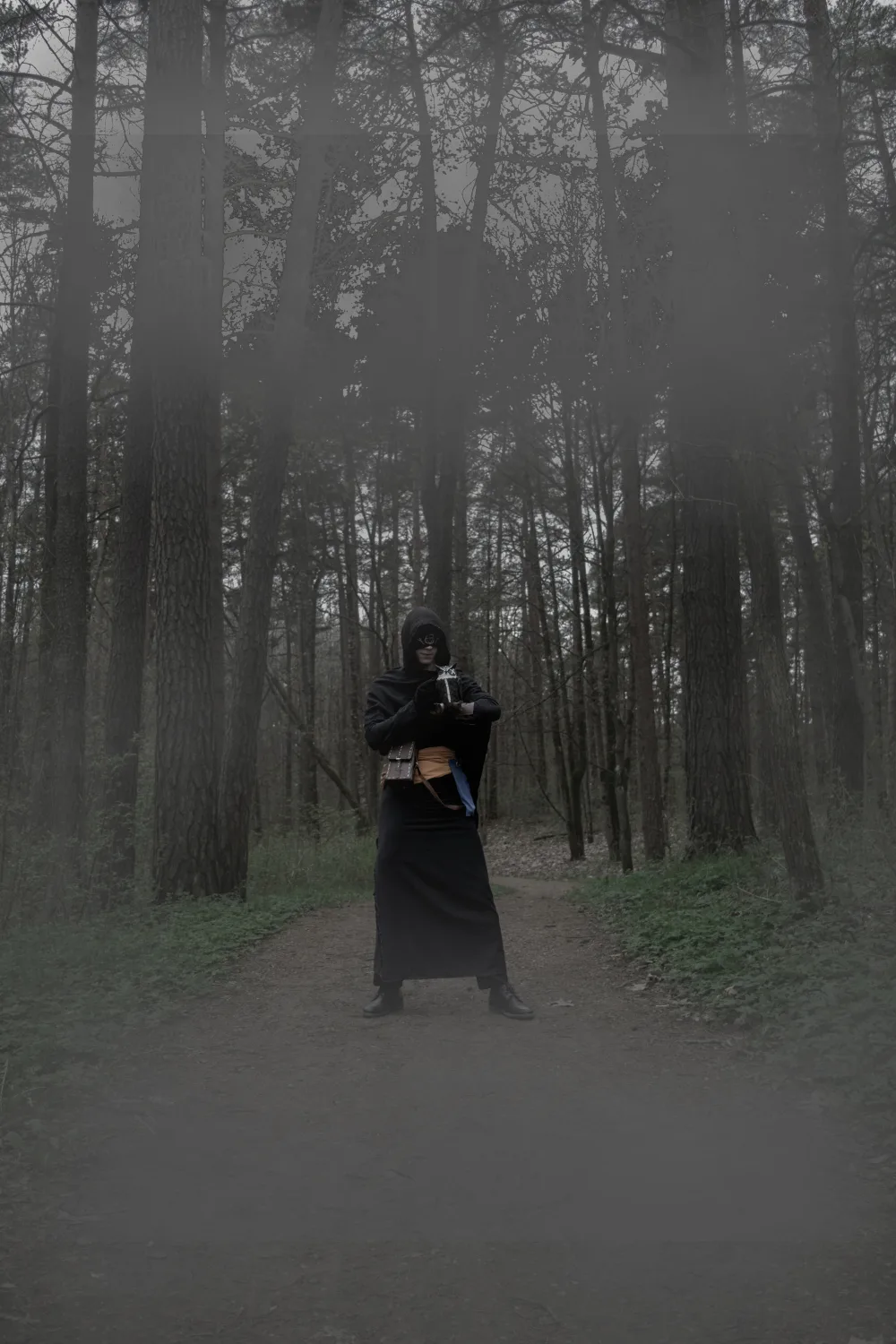 Seer 13