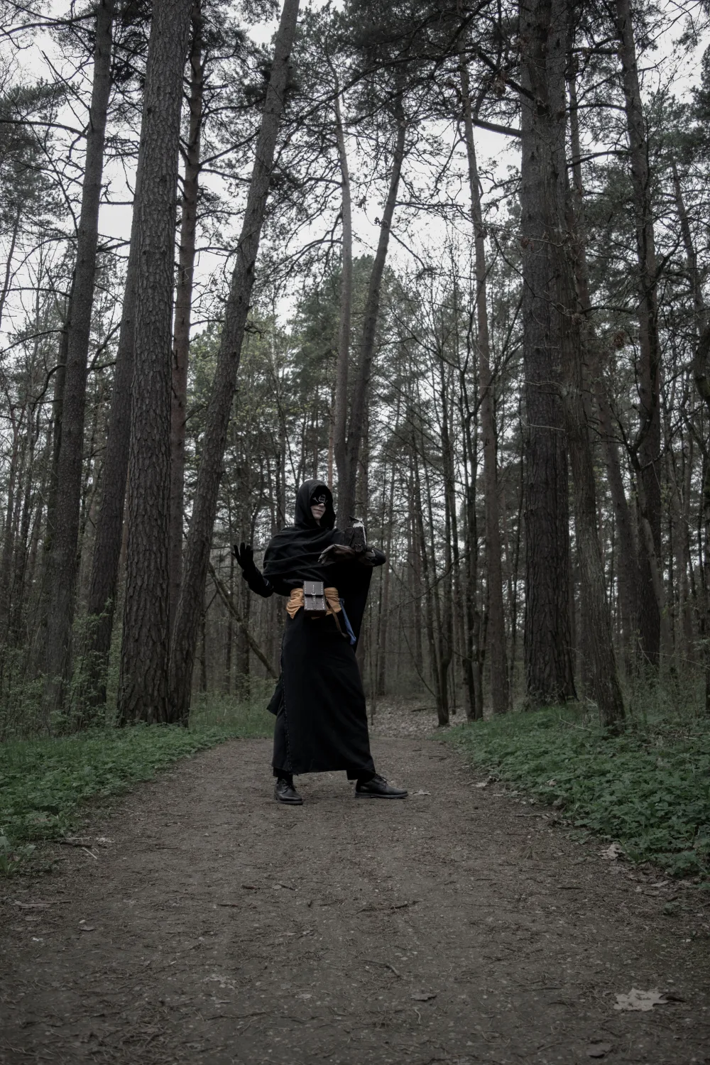 Seer 14
