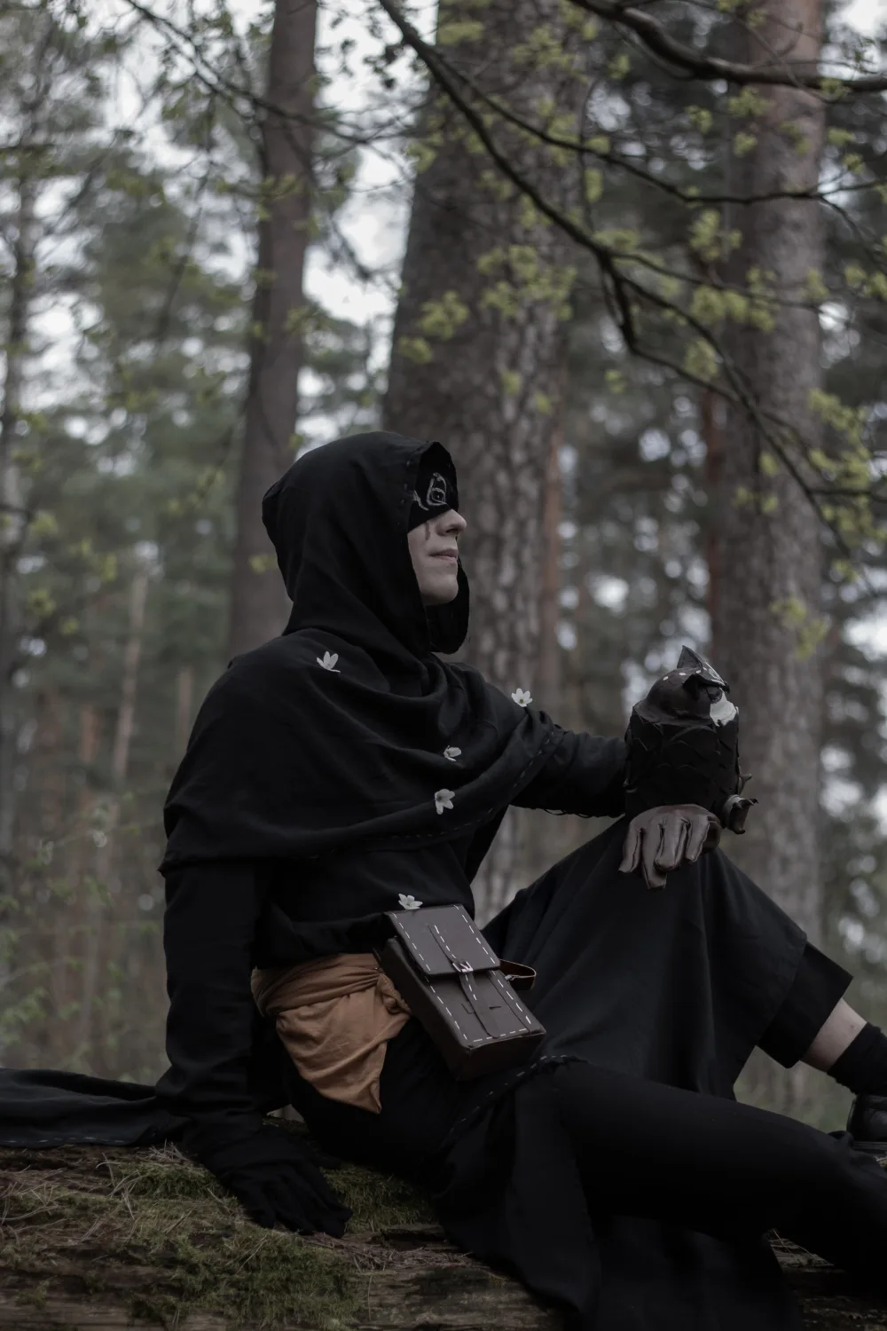 Seer 61