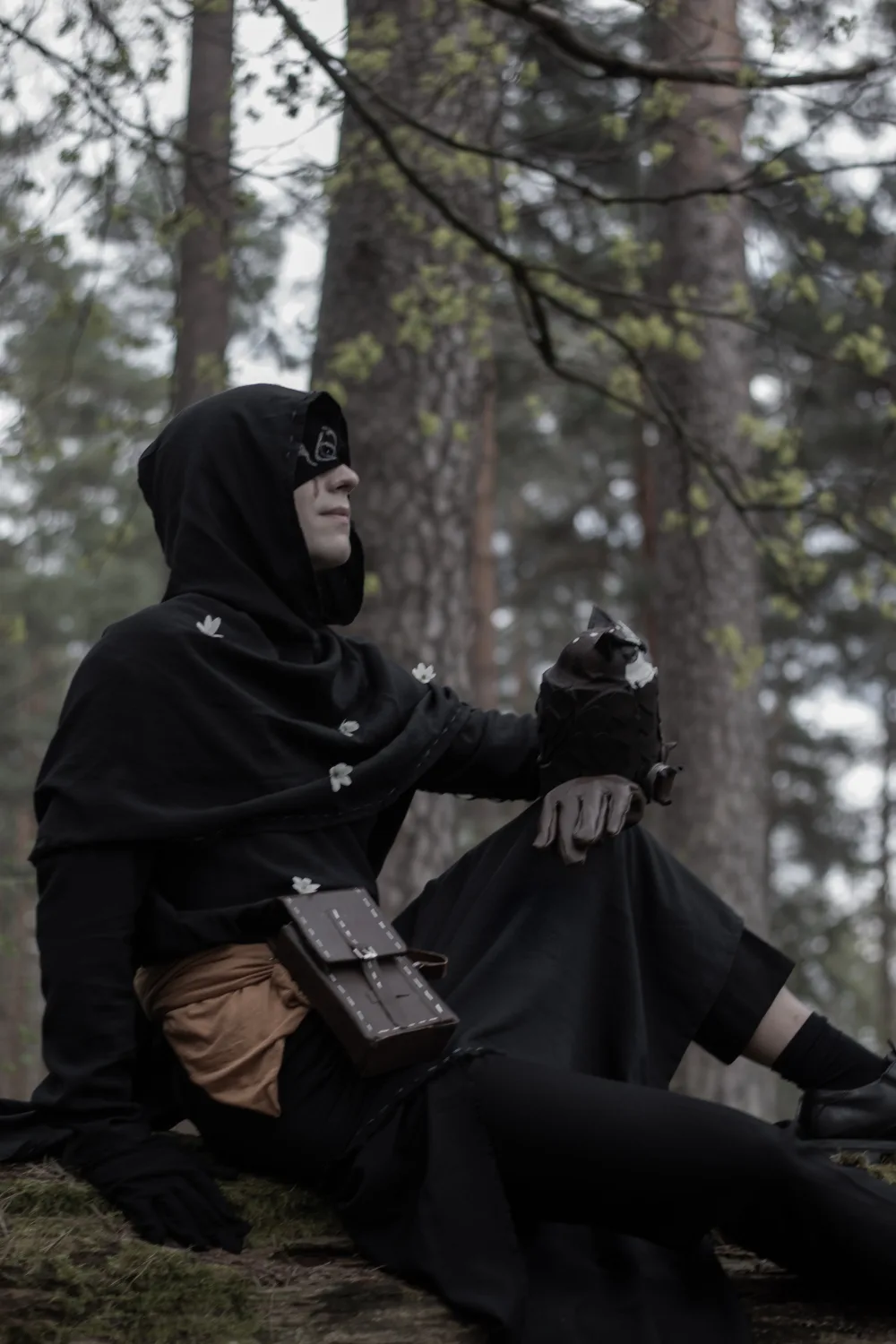 Seer 62