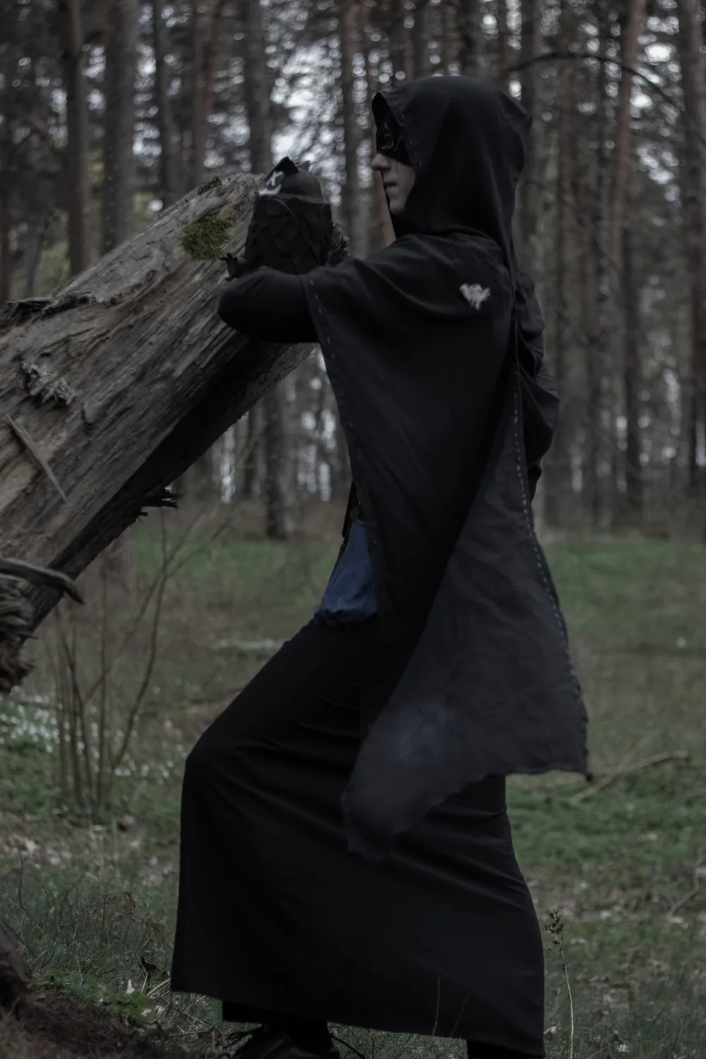 Seer 63