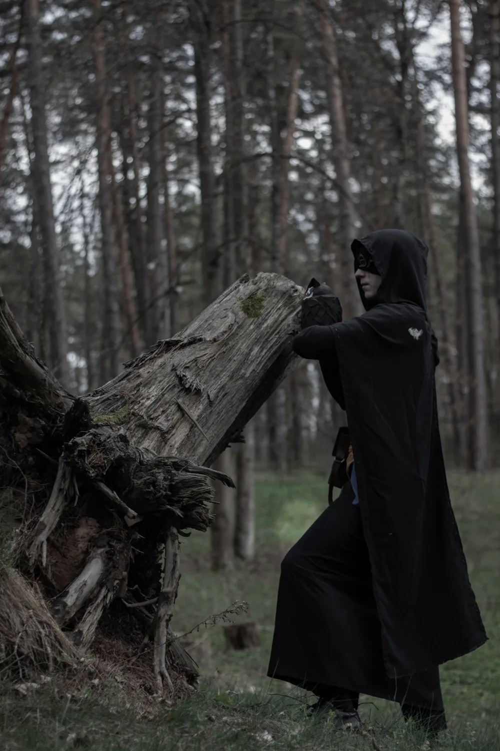 Seer 66