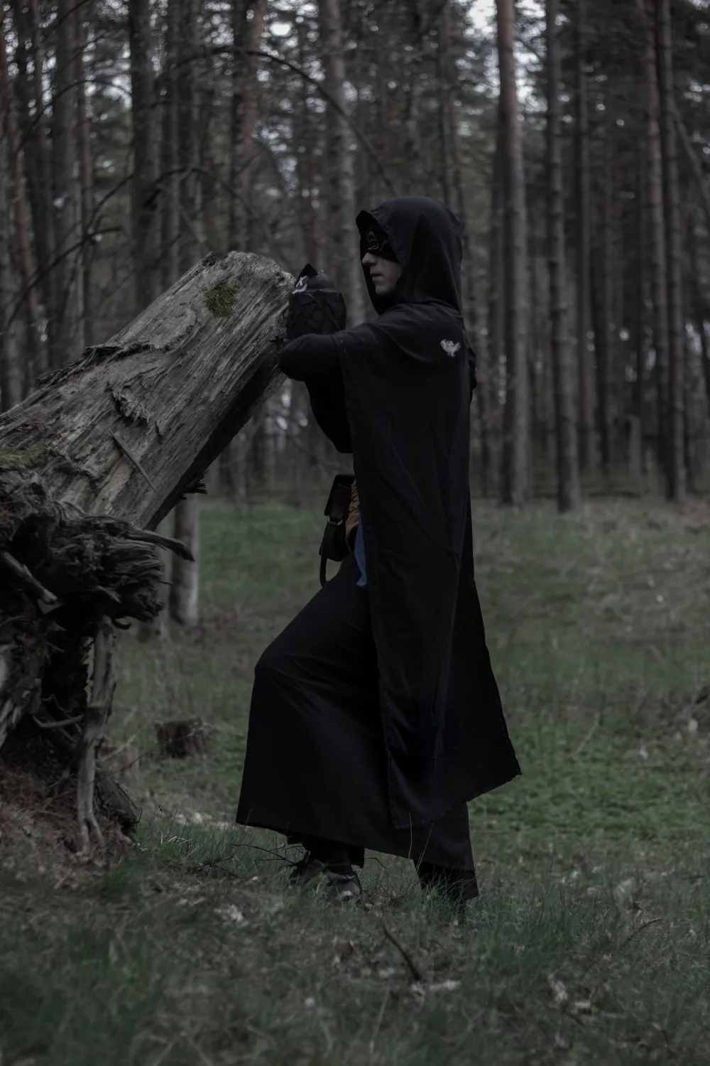 Seer 67